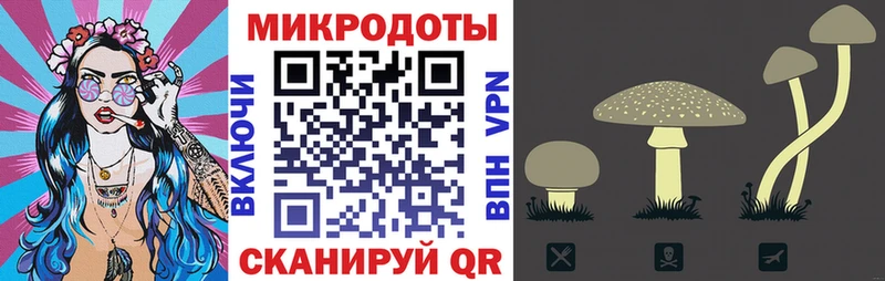 Галлюциногенные грибы Psilocybine cubensis  Струнино 
